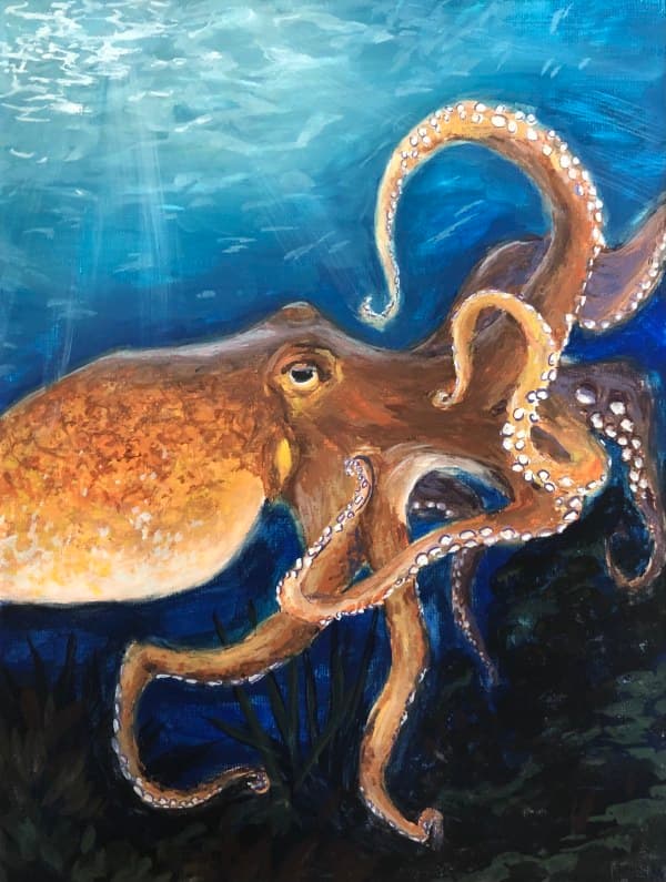 Octopus in gouache