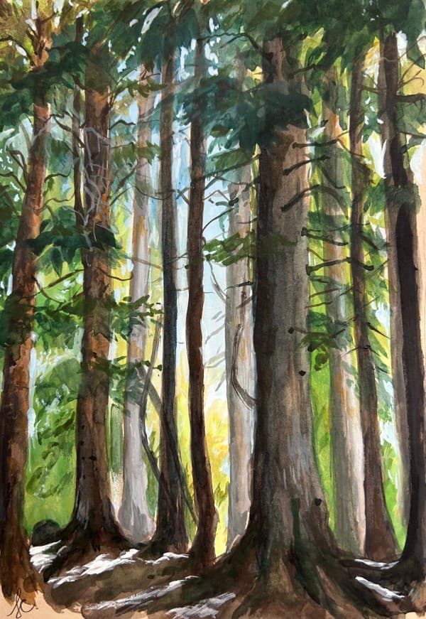 Frozen Pines in Gouache