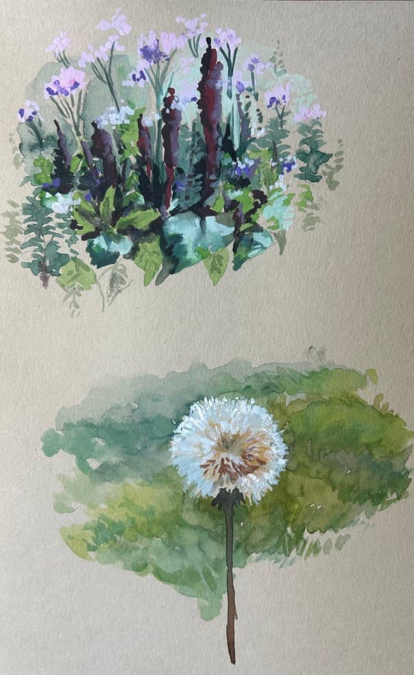 Florals on the Gotthard Pass