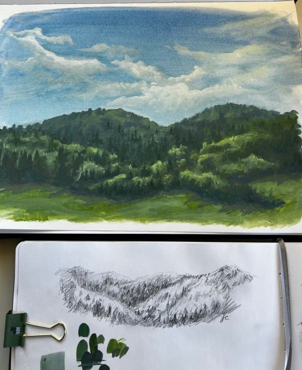 Wooded Hills Study