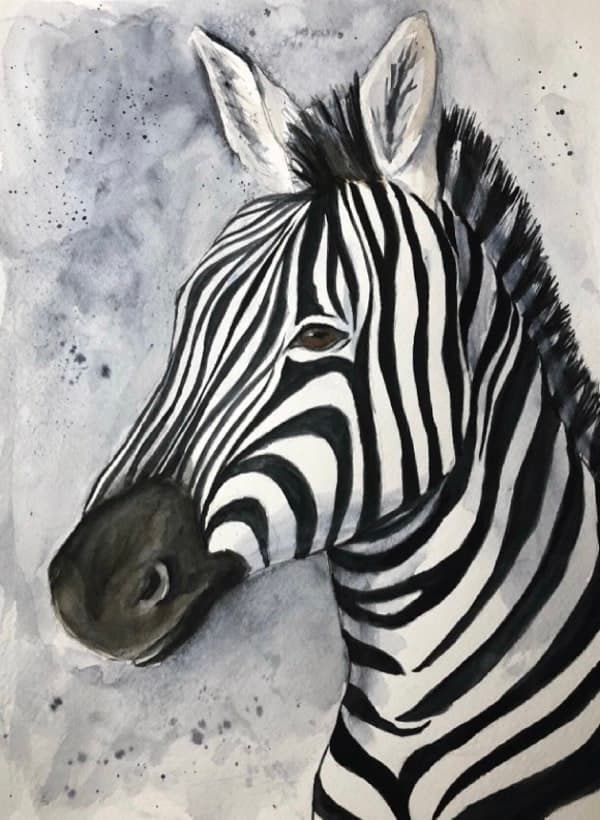 Zebra with Watercolors
