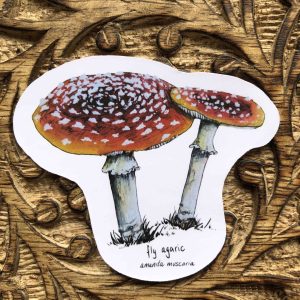 Fly Agaric Sticker